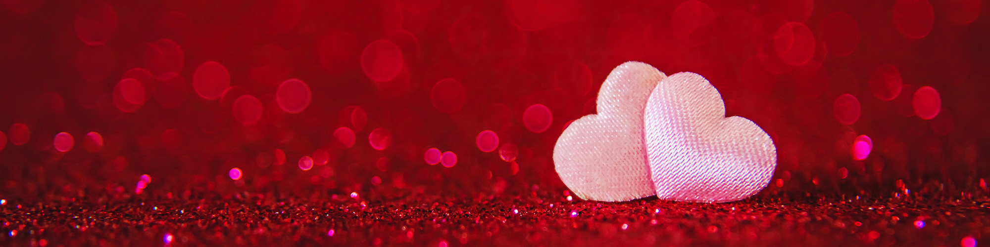 Youth Fundraiser Dinner