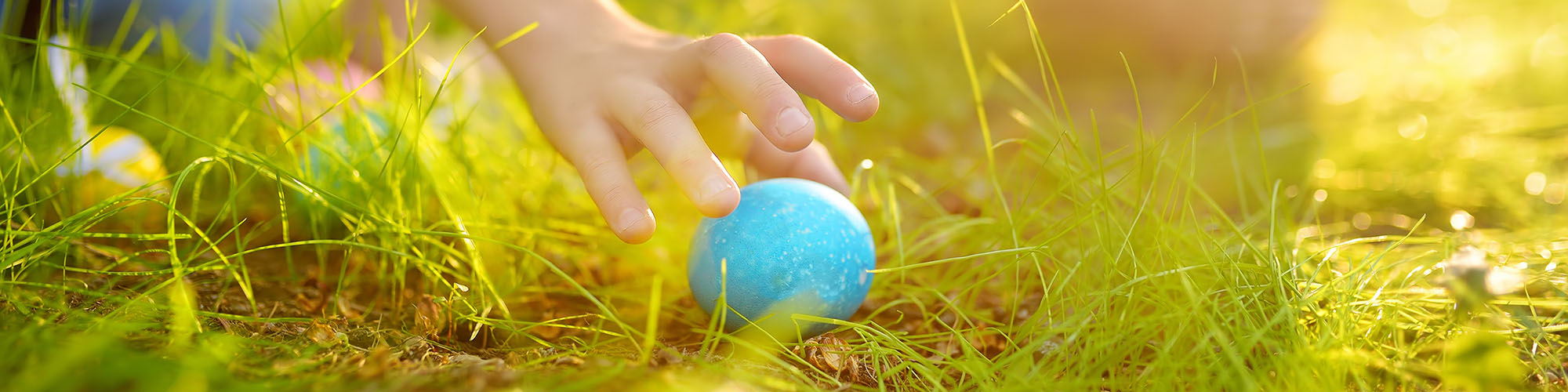 Easter Brunch & Egg Hunt