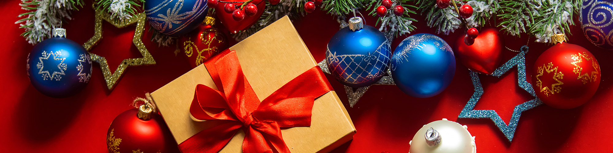 Ladies' Christmas Party